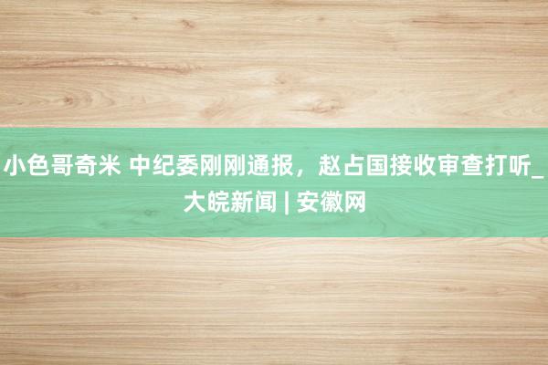 小色哥奇米 中纪委刚刚通报，赵占国接收审查打听_大皖新闻 | 安徽网