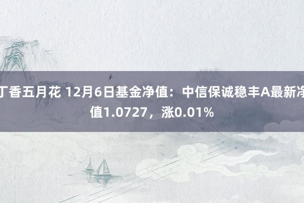 丁香五月花 12月6日基金净值：中信保诚稳丰A最新净值1.0727，涨0.01%