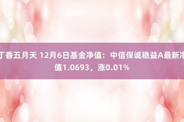 丁香五月天 12月6日基金净值：中信保诚稳益A最新净值1.0693，涨0.01%