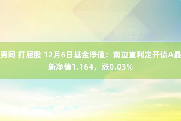 男同 打屁股 12月6日基金净值：南边宣利定开债A最新净值1.164，涨0.03%