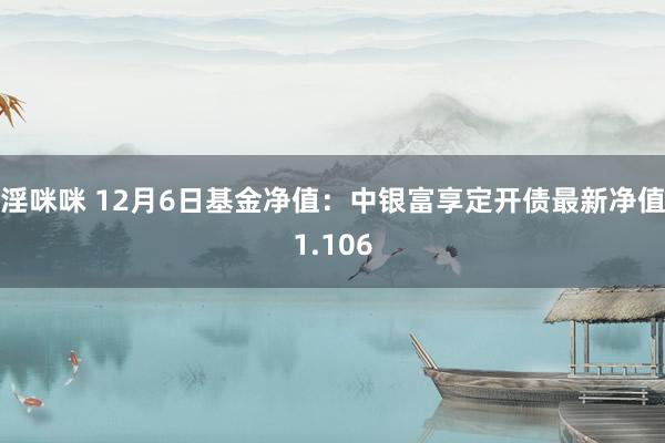 淫咪咪 12月6日基金净值：中银富享定开债最新净值1.106