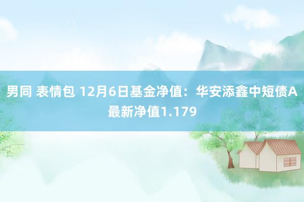 男同 表情包 12月6日基金净值：华安添鑫中短债A最新净值1.179