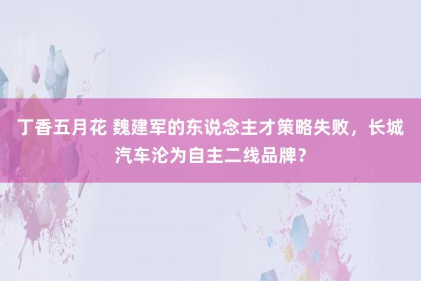 丁香五月花 魏建军的东说念主才策略失败，长城汽车沦为自主二线品牌？