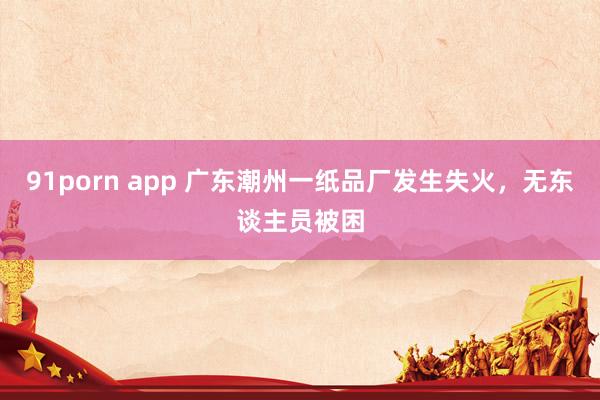 91porn app 广东潮州一纸品厂发生失火，无东谈主员被困