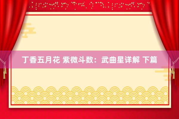 丁香五月花 紫微斗数：武曲星详解 下篇