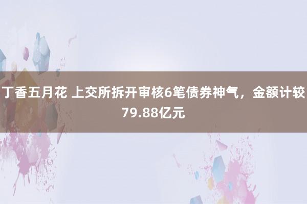 丁香五月花 上交所拆开审核6笔债券神气，金额计较79.88亿元