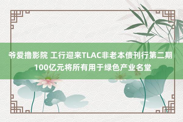 爷爱撸影院 工行迎来TLAC非老本债刊行第二期  100亿元将所有用于绿色产业名堂