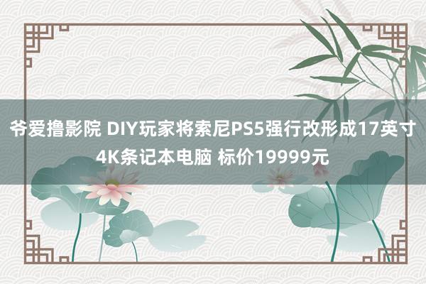 爷爱撸影院 DIY玩家将索尼PS5强行改形成17英寸4K条记本电脑 标价19999元