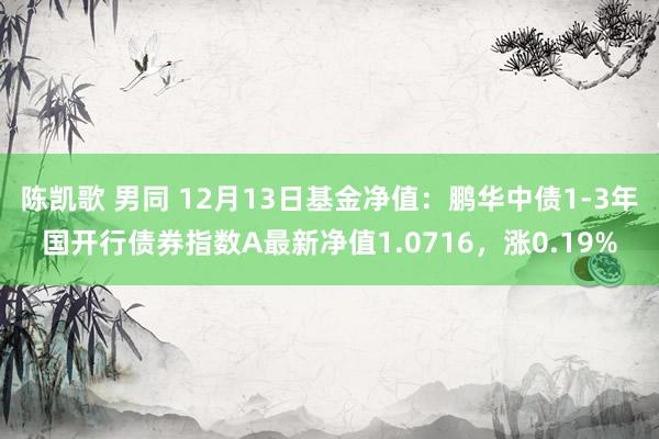 陈凯歌 男同 12月13日基金净值：鹏华中债1-3年国开行债券指数A最新净值1.0716，涨0.19%