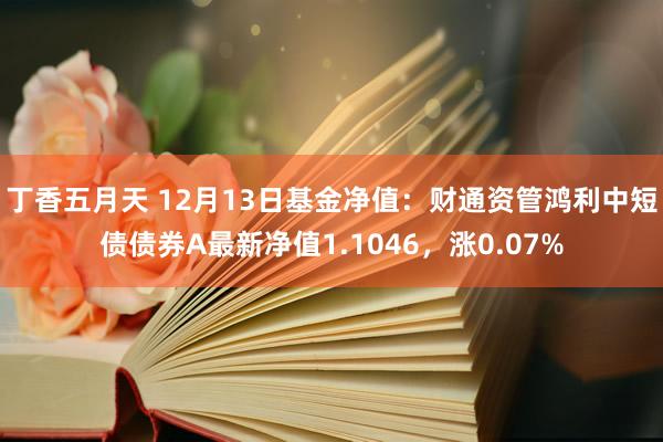 丁香五月天 12月13日基金净值：财通资管鸿利中短债债券A最新净值1.1046，涨0.07%