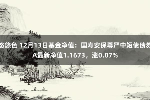 悠悠色 12月13日基金净值：国寿安保尊严中短债债券A最新净值1.1673，涨0.07%