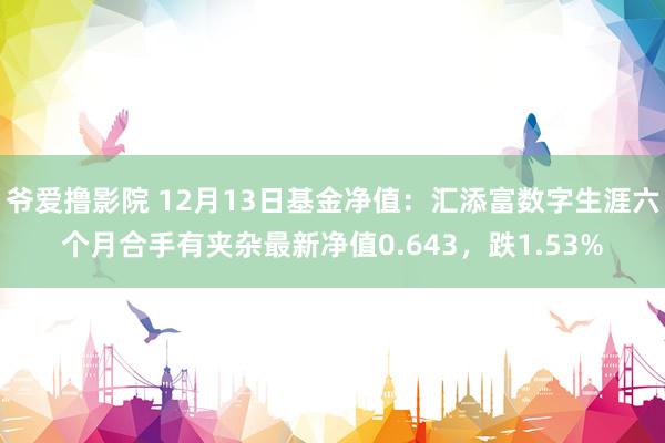 爷爱撸影院 12月13日基金净值：汇添富数字生涯六个月合手有夹杂最新净值0.643，跌1.53%