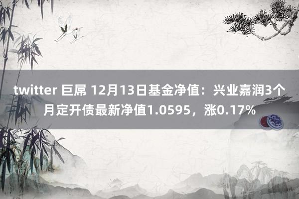 twitter 巨屌 12月13日基金净值：兴业嘉润3个月定开债最新净值1.0595，涨0.17%