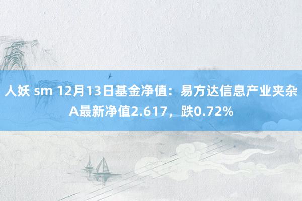 人妖 sm 12月13日基金净值：易方达信息产业夹杂A最新净值2.617，跌0.72%
