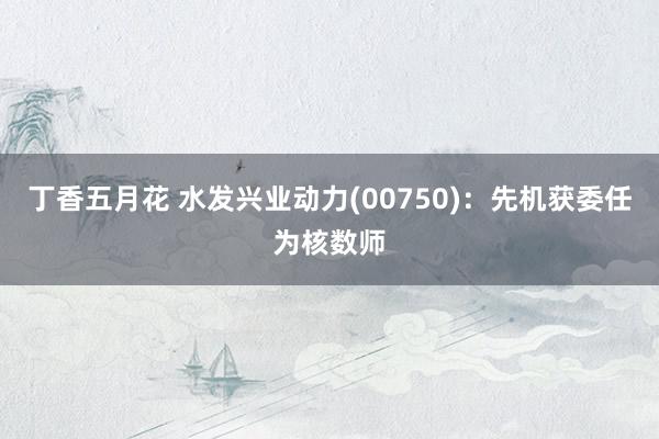 丁香五月花 水发兴业动力(00750)：先机获委任为核数师