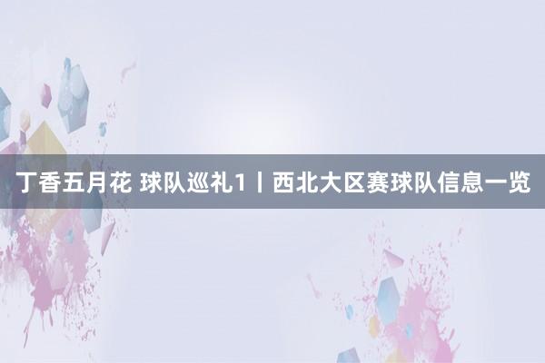 丁香五月花 球队巡礼1丨西北大区赛球队信息一览