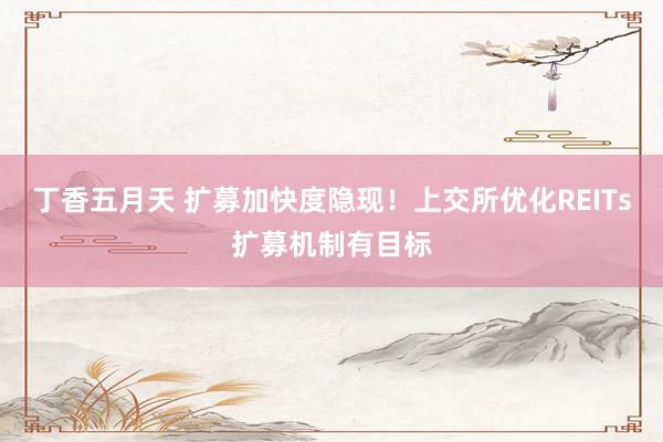 丁香五月天 扩募加快度隐现！上交所优化REITs扩募机制有目标