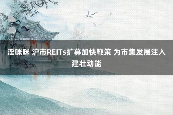 淫咪咪 沪市REITs扩募加快鞭策 为市集发展注入建壮动能