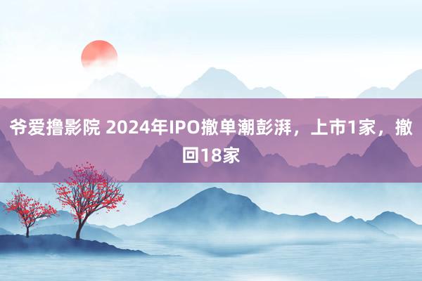 爷爱撸影院 2024年IPO撤单潮彭湃，上市1家，撤回18家