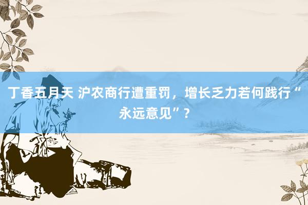 丁香五月天 沪农商行遭重罚，增长乏力若何践行“永远意见”？