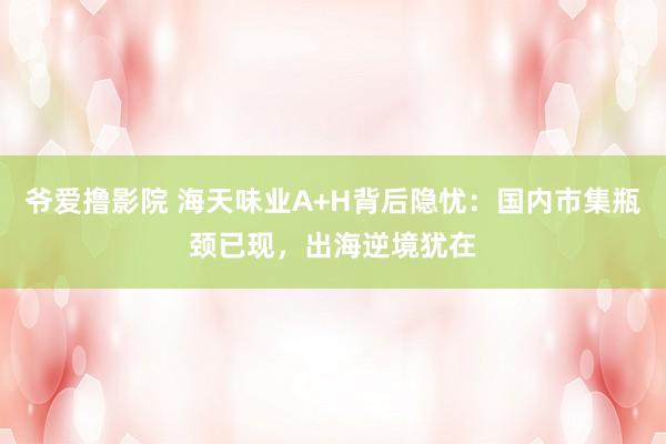 爷爱撸影院 海天味业A+H背后隐忧：国内市集瓶颈已现，出海逆境犹在