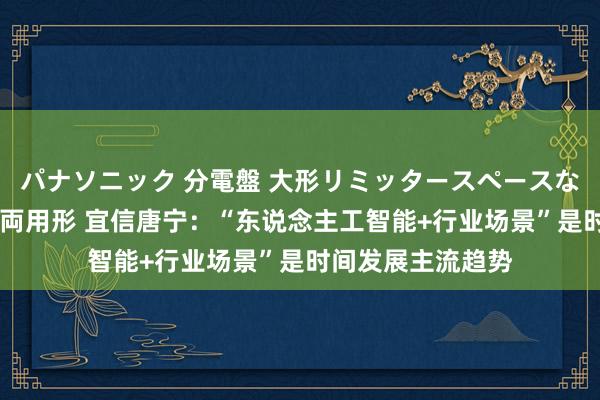 パナソニック 分電盤 大形リミッタースペースなし 露出・半埋込両用形 宜信唐宁：“东说念主工智能+行业场景”是时间发展主流趋势