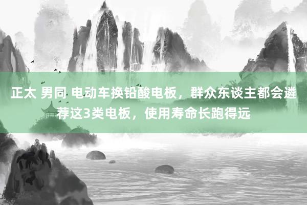 正太 男同 电动车换铅酸电板，群众东谈主都会遴荐这3类电板，使用寿命长跑得远
