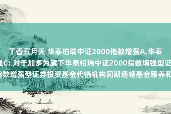 丁香五月天 华泰柏瑞中证2000指数增强A，华泰柏瑞中证2000指数增强C: 对于加多为旗下华泰柏瑞中证2000指数增强型证券投资基金代销机构同期通畅基金颐养和定投业务的告知