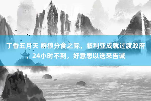 丁香五月天 群狼分食之际，叙利亚成就过渡政府，24小时不到，好意思以送来告诫