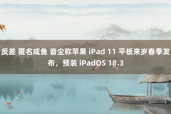 反差 匿名咸鱼 音尘称苹果 iPad 11 平板来岁春季发布，预装 iPadOS 18.3