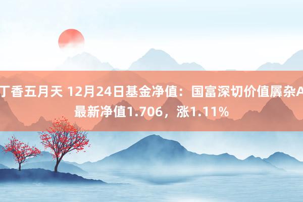 丁香五月天 12月24日基金净值：国富深切价值羼杂A最新净值1.706，涨1.11%