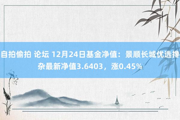 自拍偷拍 论坛 12月24日基金净值：景顺长城优选搀杂最新净值3.6403，涨0.45%