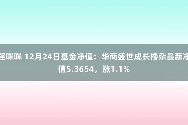 淫咪咪 12月24日基金净值：华商盛世成长搀杂最新净值5.3654，涨1.1%
