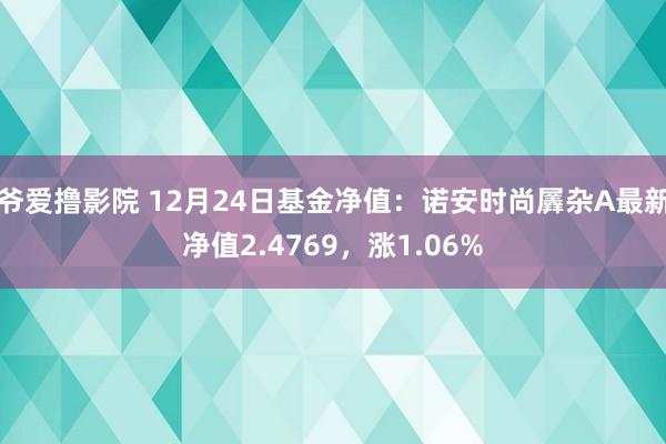 爷爱撸影院 12月24日基金净值：诺安时尚羼杂A最新净值2.4769，涨1.06%