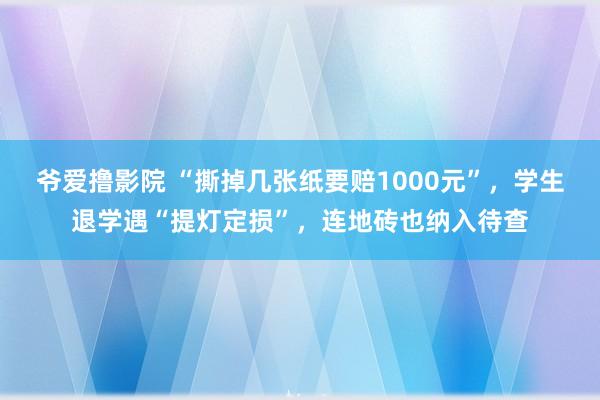 爷爱撸影院 “撕掉几张纸要赔1000元”，学生退学遇“提灯定损”，连地砖也纳入待查