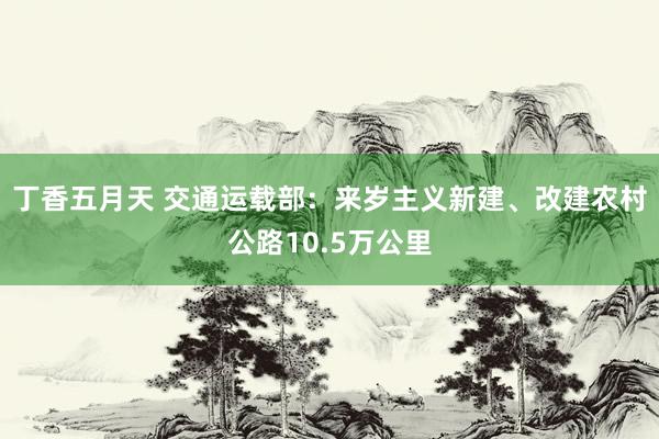 丁香五月天 交通运载部：来岁主义新建、改建农村公路10.5万公里