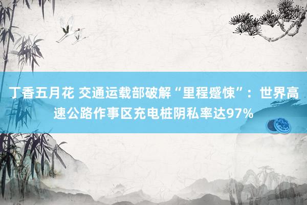 丁香五月花 交通运载部破解“里程蹙悚”：世界高速公路作事区充电桩阴私率达97%