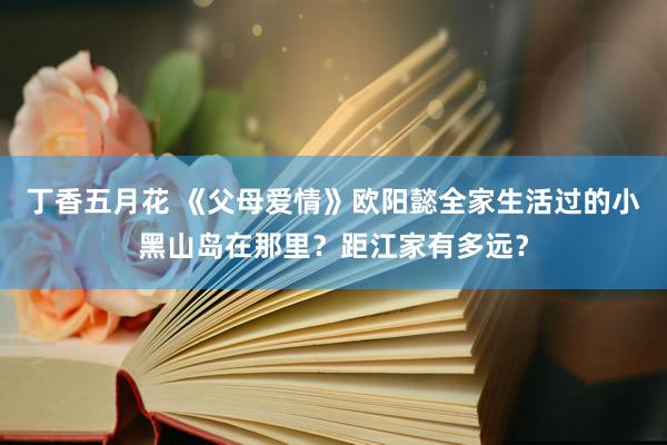 丁香五月花 《父母爱情》欧阳懿全家生活过的小黑山岛在那里？距江家有多远？