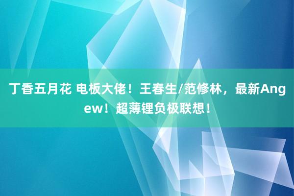 丁香五月花 电板大佬！王春生/范修林，最新Angew！超薄锂负极联想！