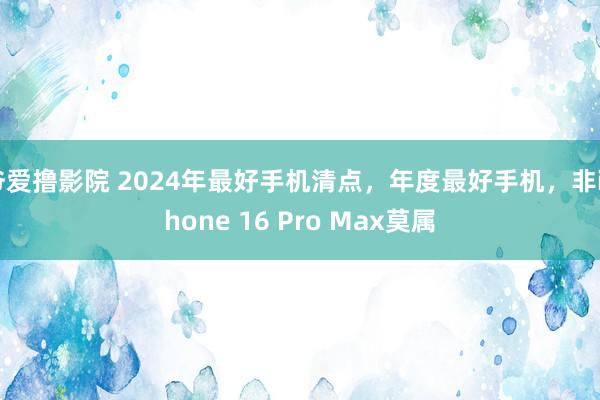 爷爱撸影院 2024年最好手机清点，年度最好手机，非iPhone 16 Pro Max莫属