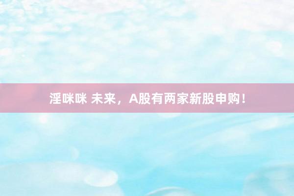 淫咪咪 未来，A股有两家新股申购！