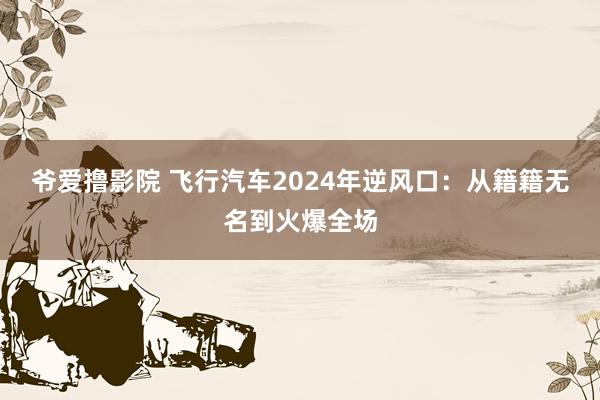 爷爱撸影院 飞行汽车2024年逆风口：从籍籍无名到火爆全场