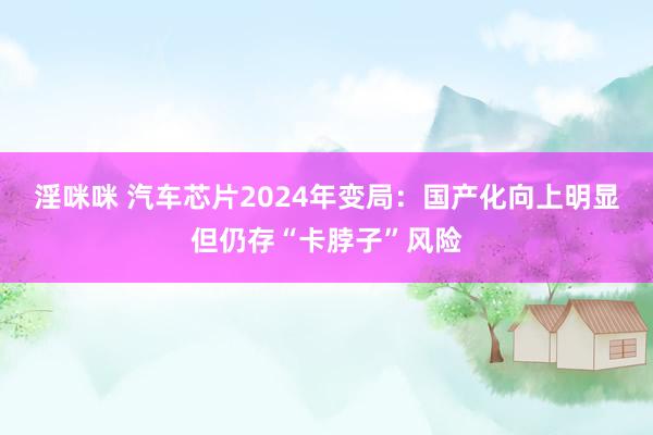 淫咪咪 汽车芯片2024年变局：国产化向上明显但仍存“卡脖子”风险