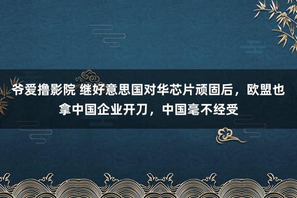 爷爱撸影院 继好意思国对华芯片顽固后，欧盟也拿中国企业开刀，中国毫不经受