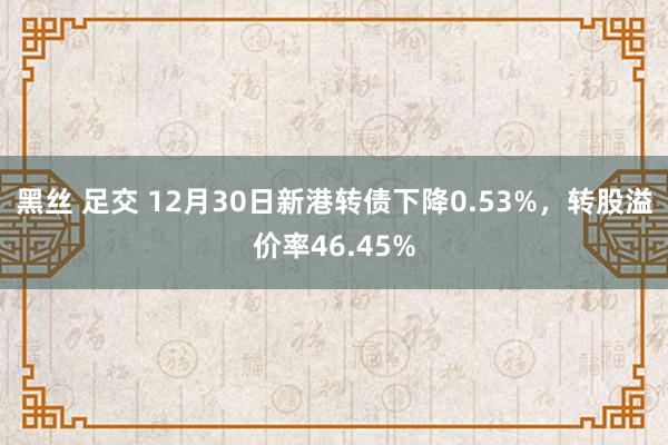 黑丝 足交 12月30日新港转债下降0.53%，转股溢价率46.45%