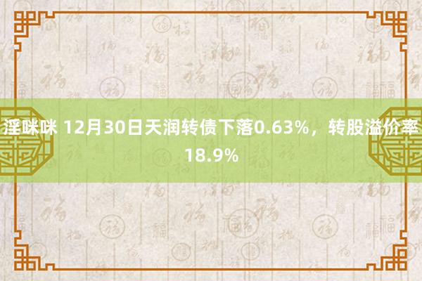 淫咪咪 12月30日天润转债下落0.63%，转股溢价率18.9%