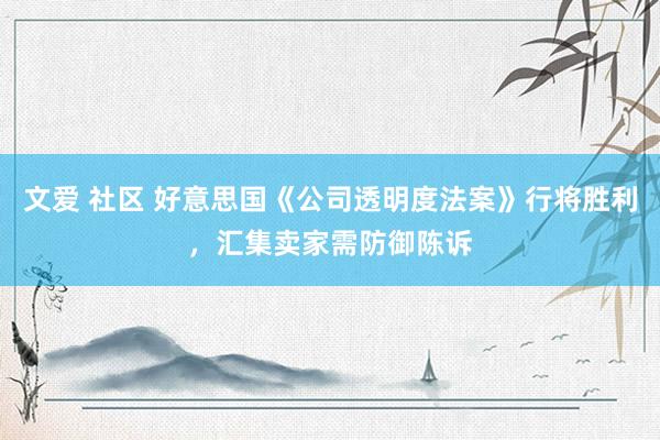 文爱 社区 好意思国《公司透明度法案》行将胜利，汇集卖家需防御陈诉