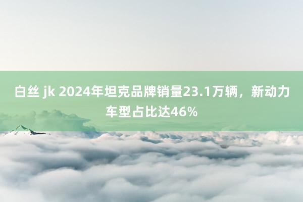 白丝 jk 2024年坦克品牌销量23.1万辆，新动力车型占比达46%