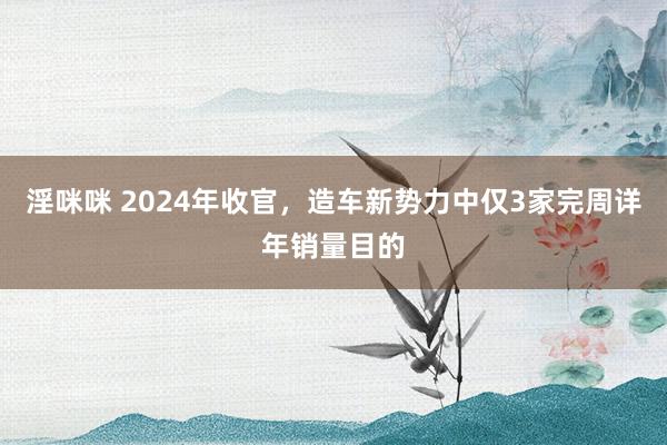 淫咪咪 2024年收官，造车新势力中仅3家完周详年销量目的