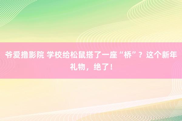 爷爱撸影院 学校给松鼠搭了一座“桥”？这个新年礼物，绝了！